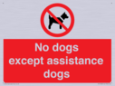 no-dogs-except-assistance-dogs~